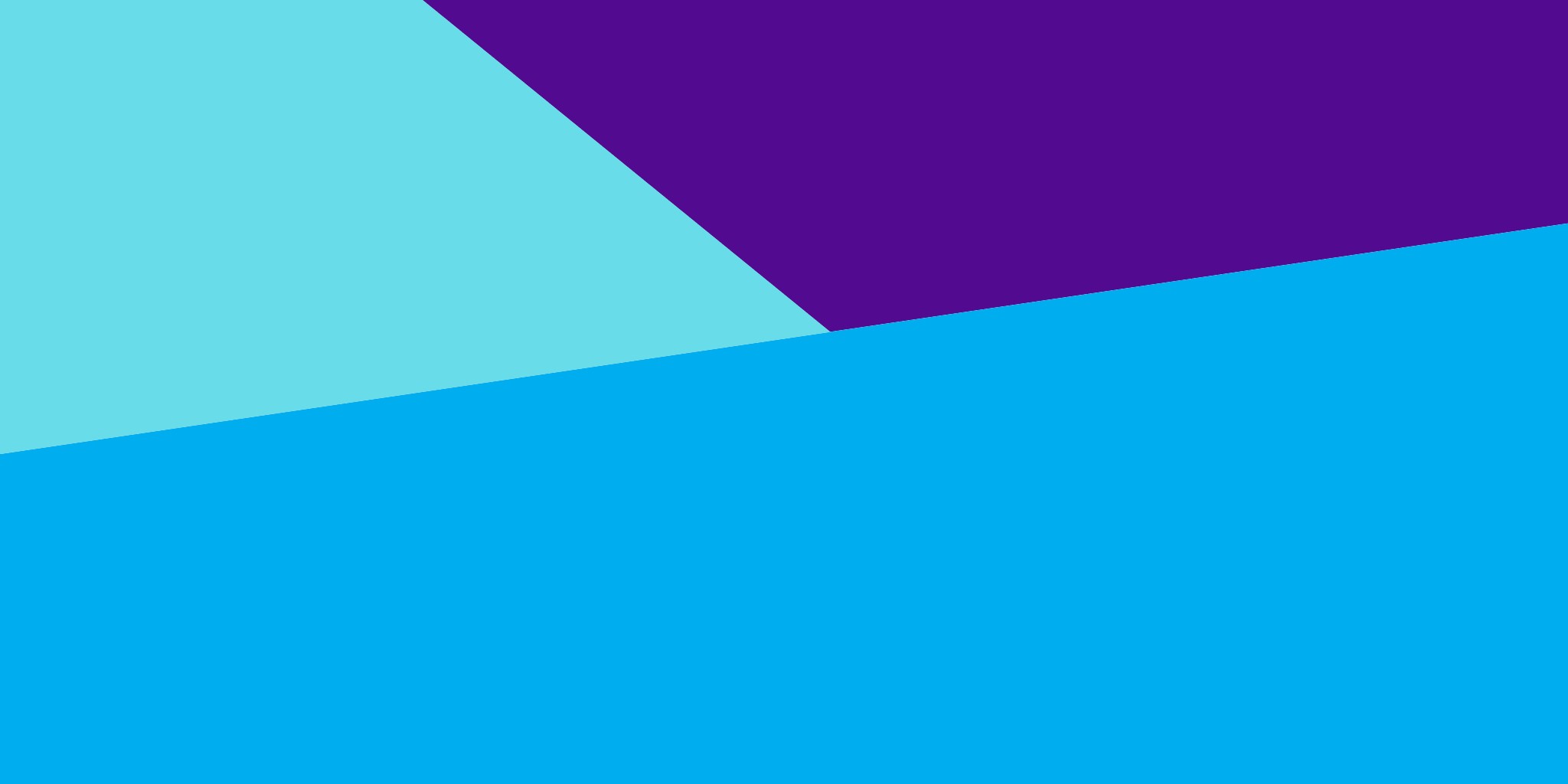 Crown Castle cover image