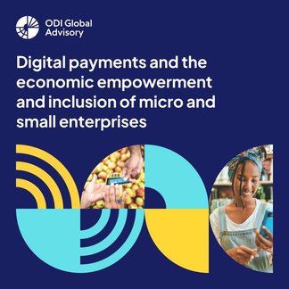 Digital Payments and the Economic Empowerment and Inclusion of Micro and Small Enterprises