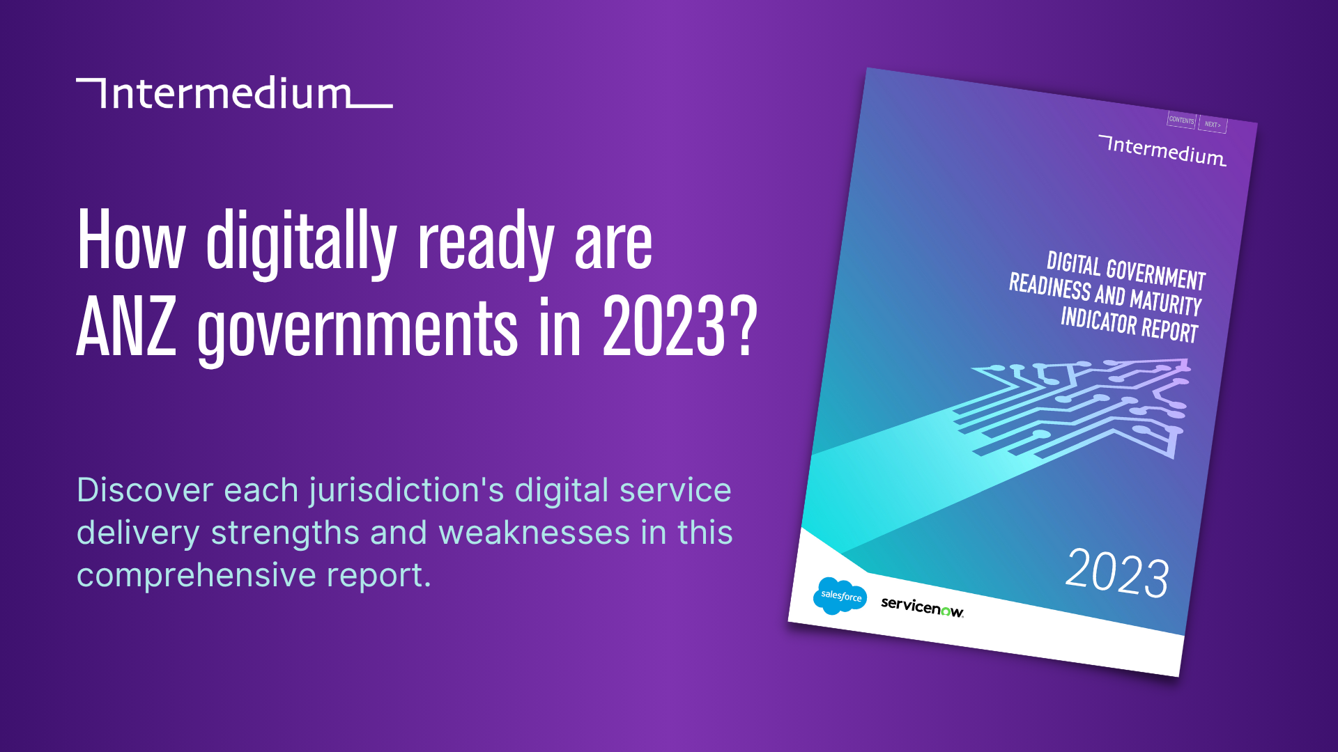 2023 Digital Government Readiness and Maturity Indicator Report preview