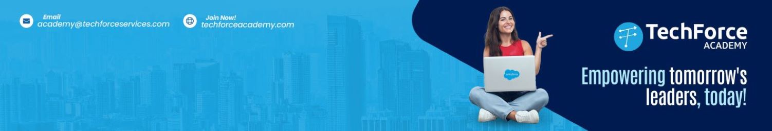 TechForce Academy cover image