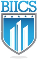 BUSINESS INTELLIGENCE & INFORMATICS CONSULTING SERVICES, INC.