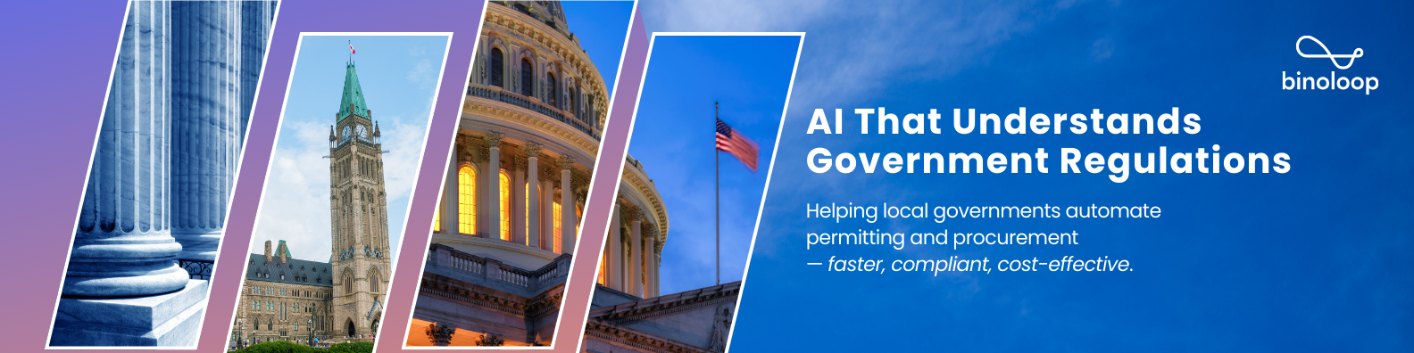 Binoloop cover image