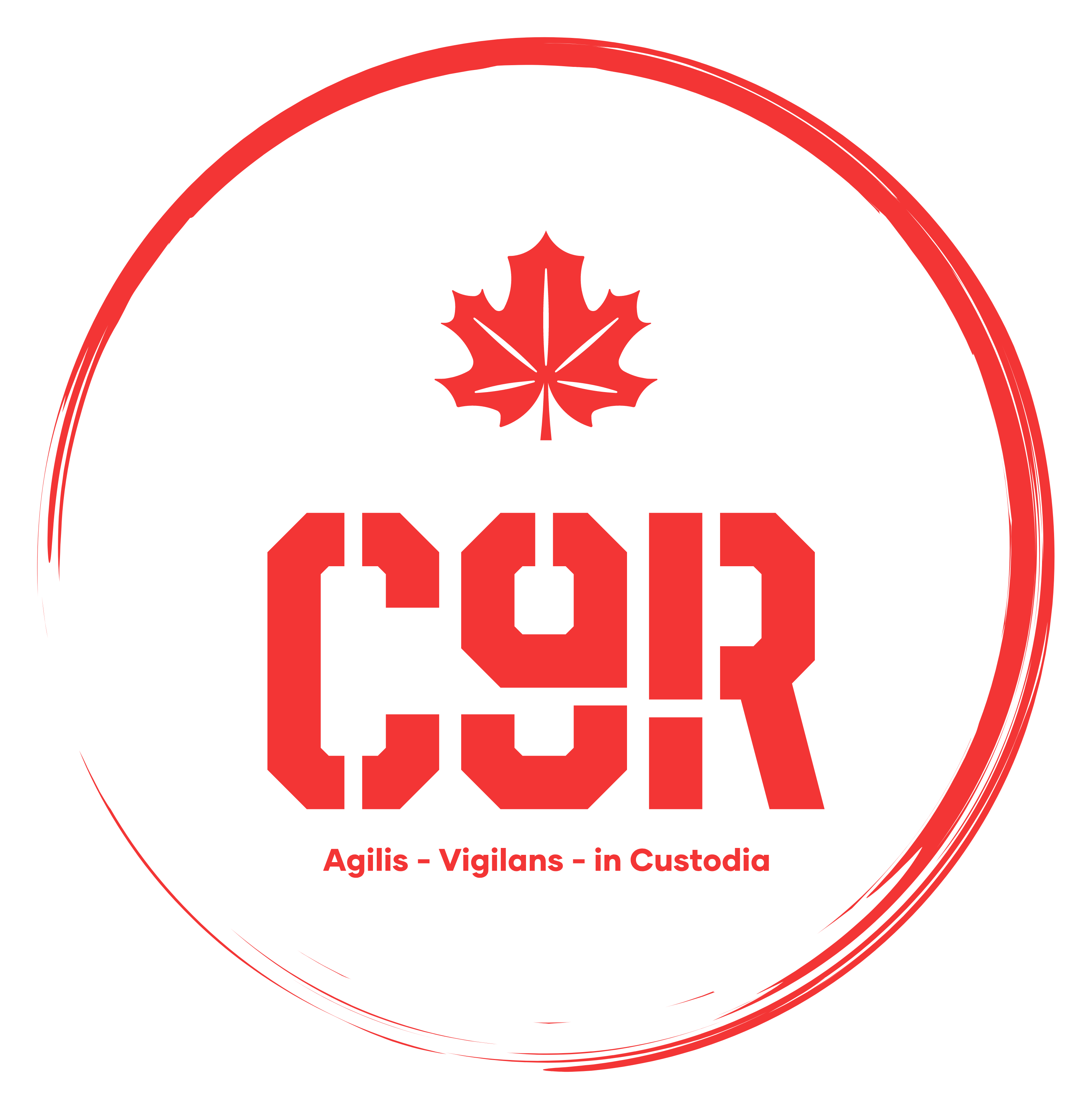 CyerNiNer Corporation