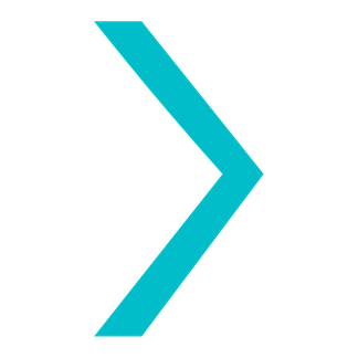 Codex General Capability Statement