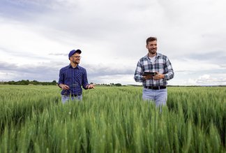 Department of Agriculture, Fisheries and Forestry select LAB³ to enable robust, scalable, secure services