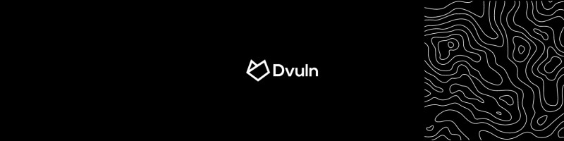 Dvuln cover image