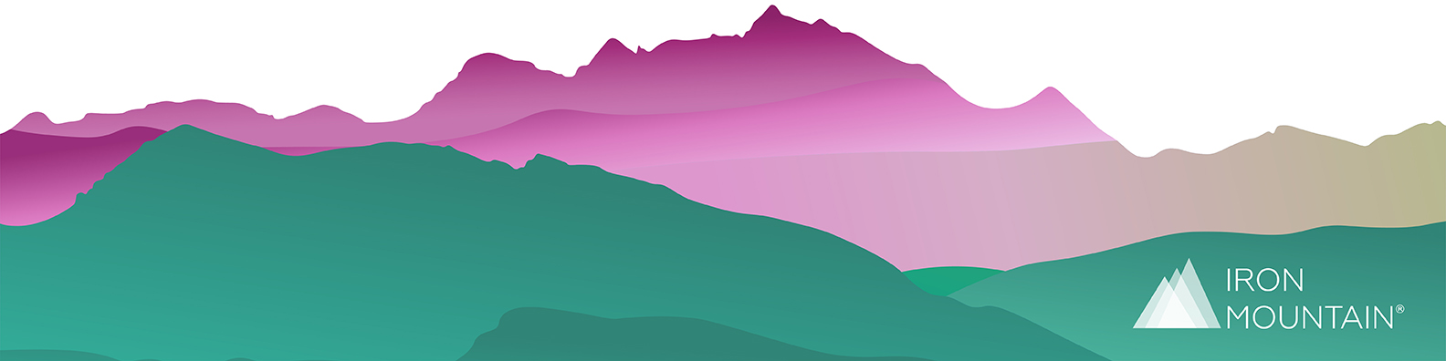 Iron Mountain Government Solutions cover image