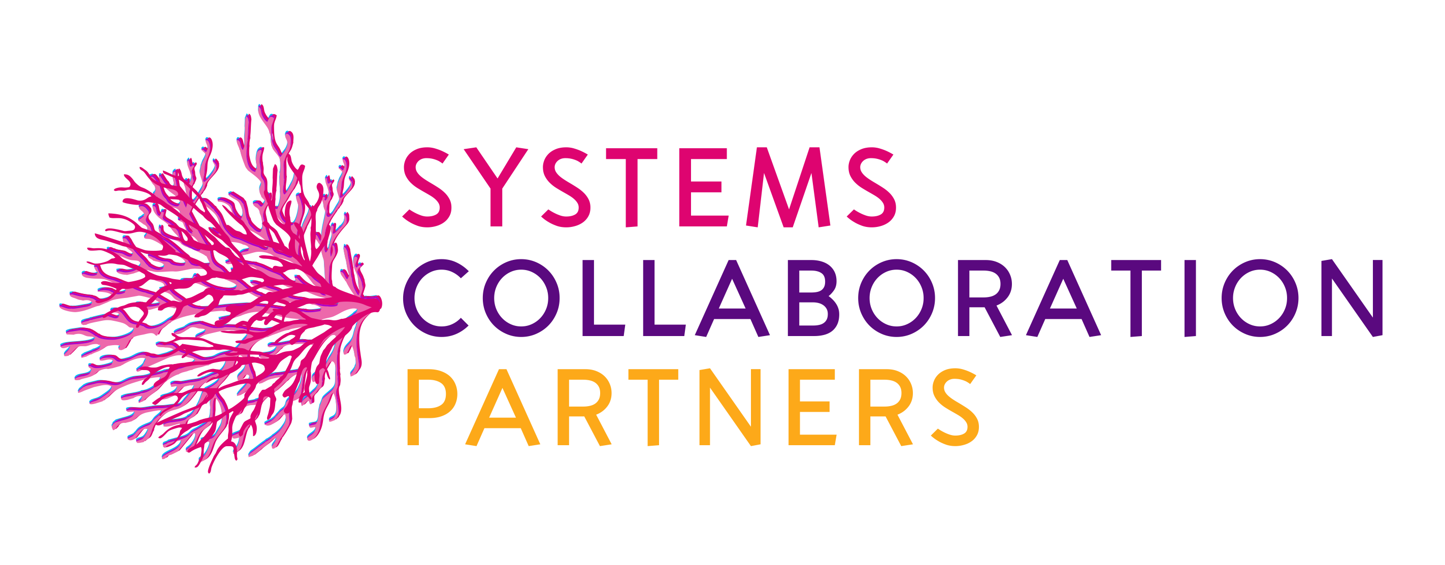 Systems Collaboration Partners