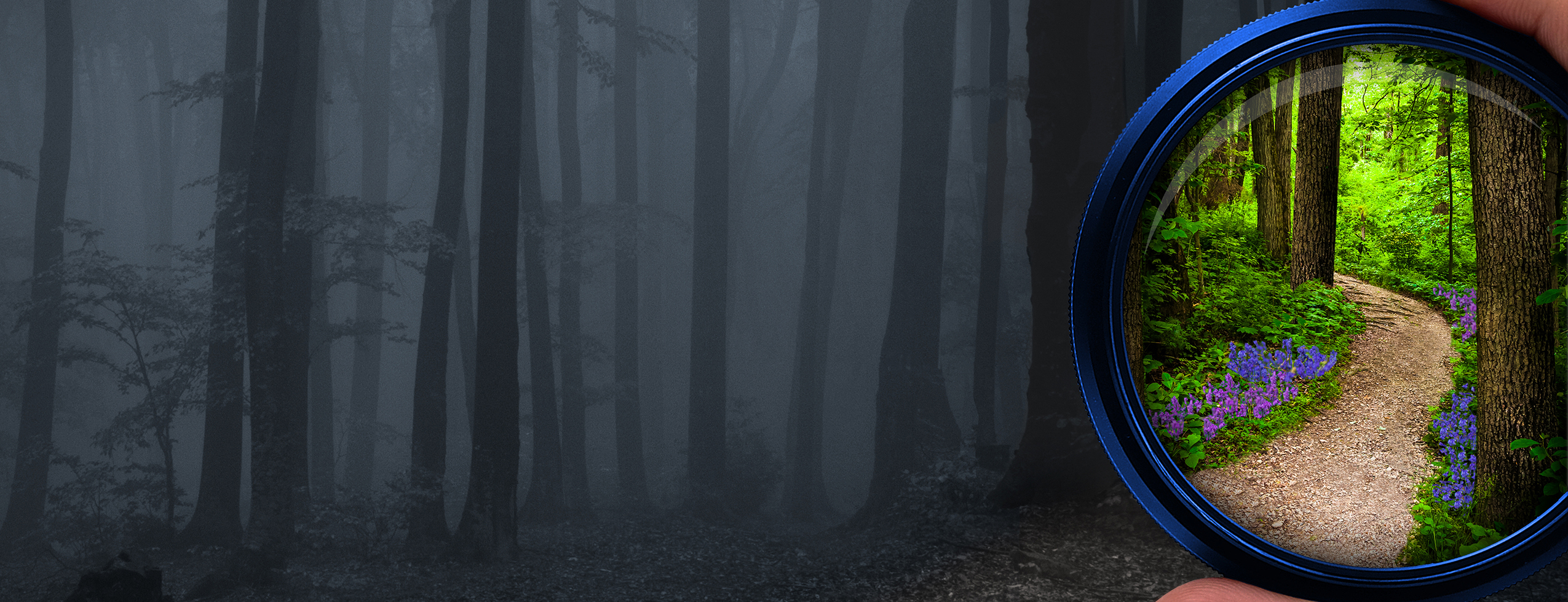 KPMG LLP cover image