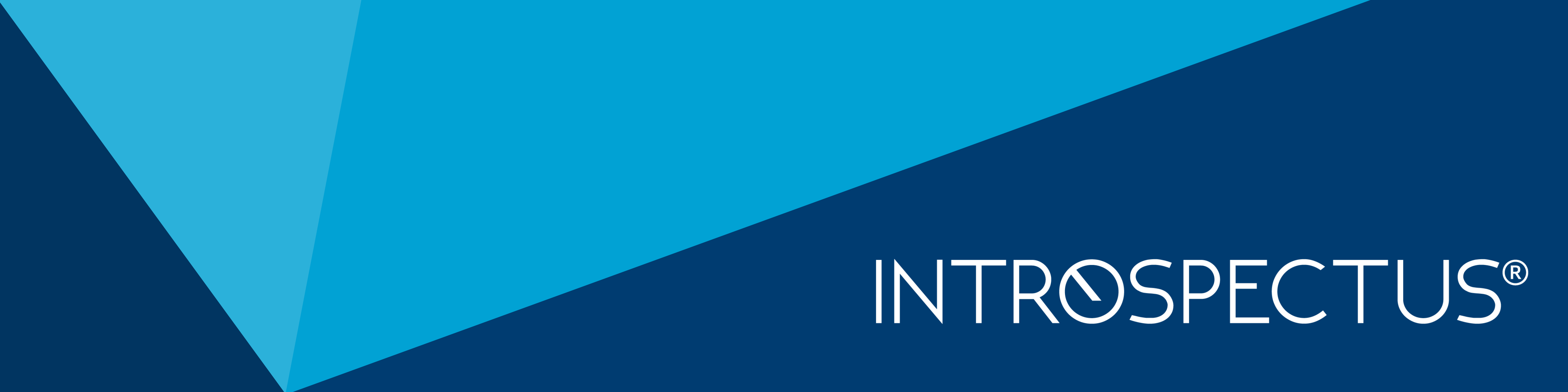 Introspectus Pty Ltd cover image