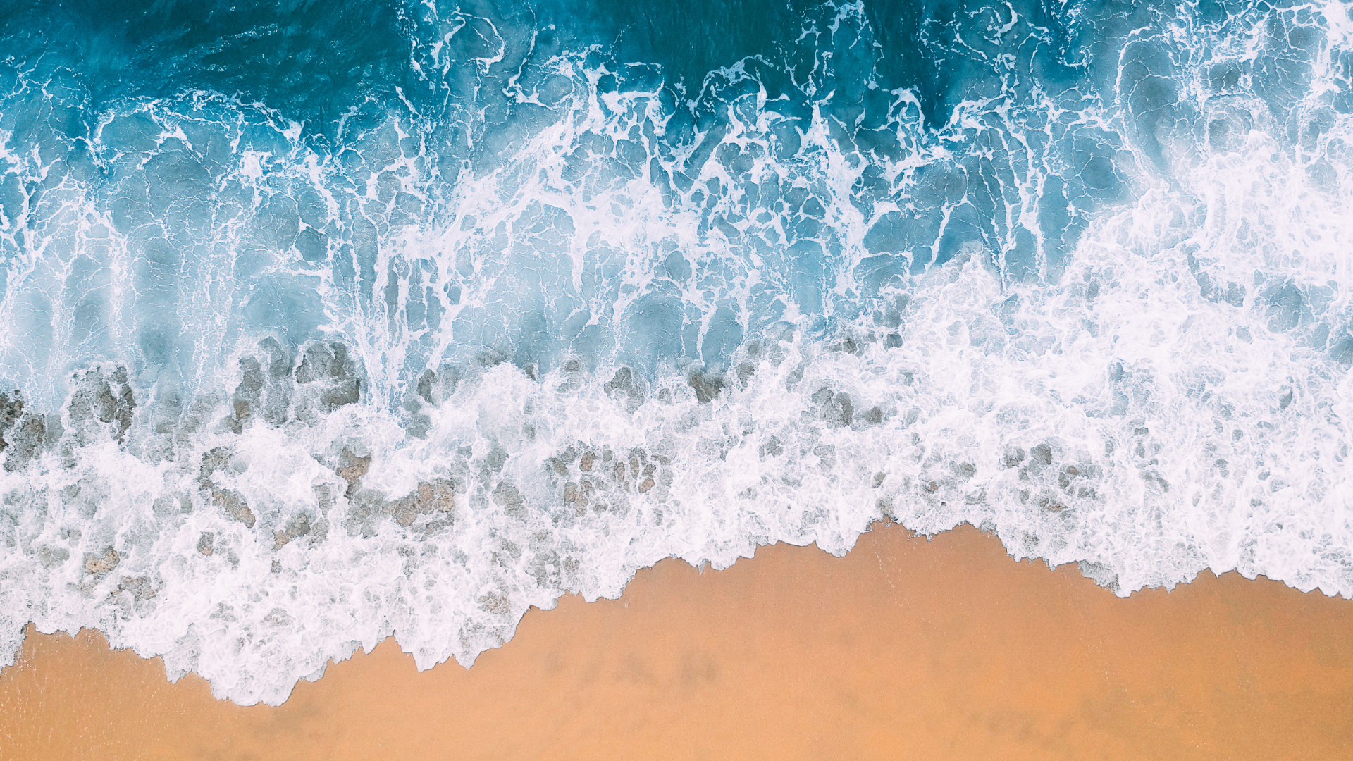 From Chaos to Clarity: How Northern Beaches Council built Modern Service Delivery Foundations preview