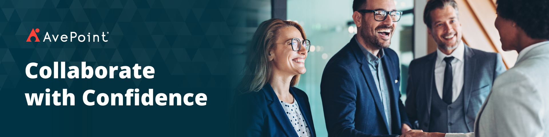 AvePoint cover image