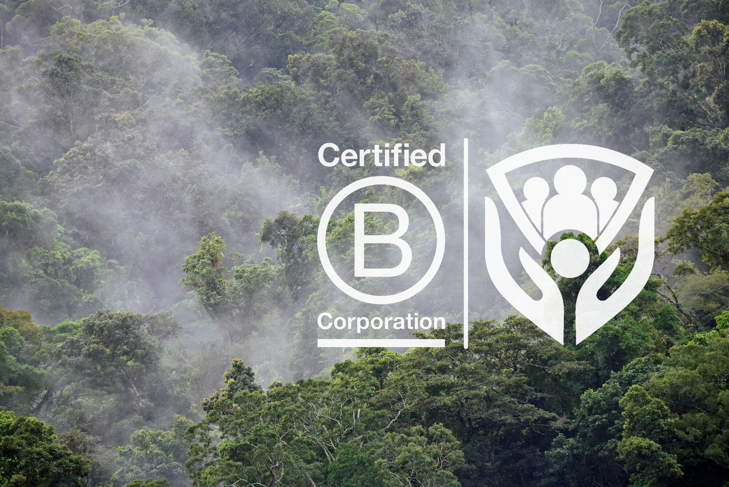 Phronesis Security cover image