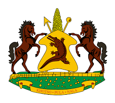 Government of Lesotho Centralised Budgeting Case Study preview