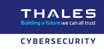 Cyber Advisory Capability Statement