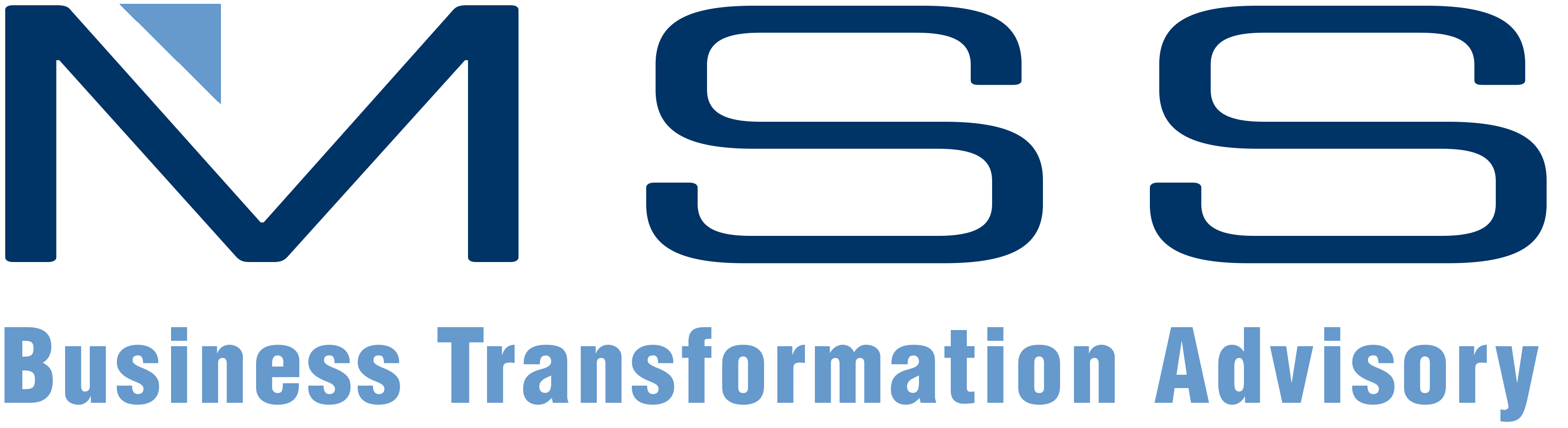 MSS Business Transformation Advisory