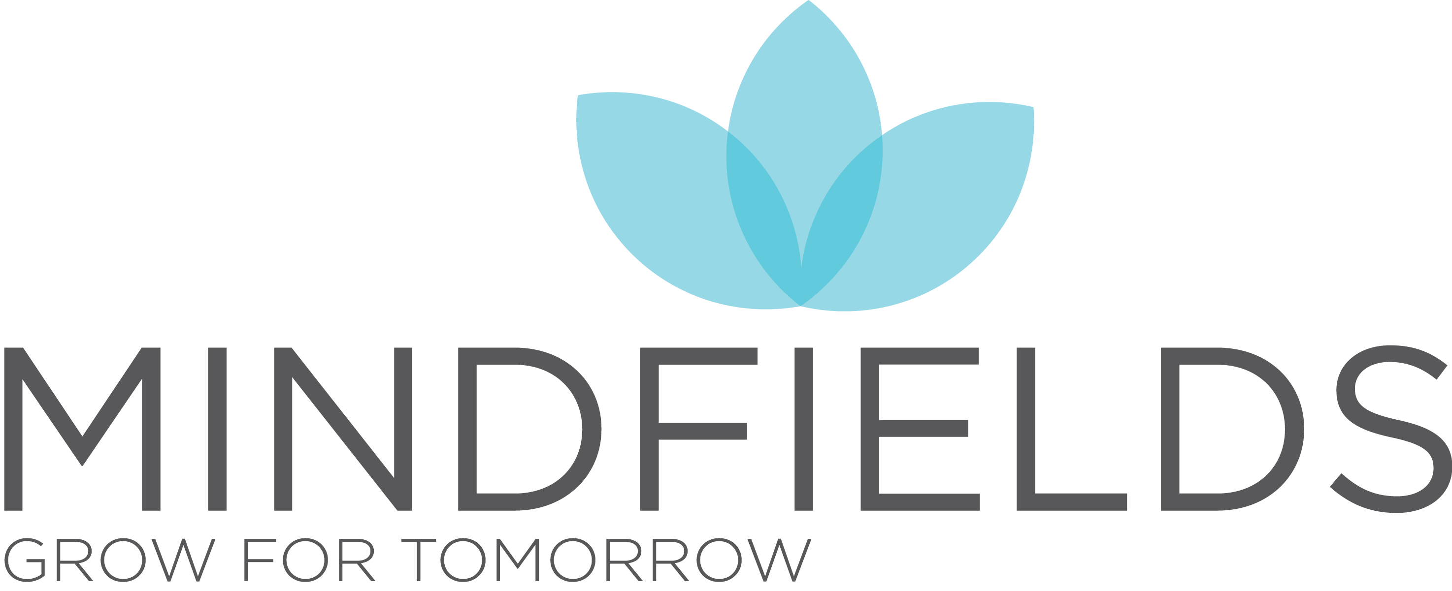 Mindfields Consulting Pty Ltd