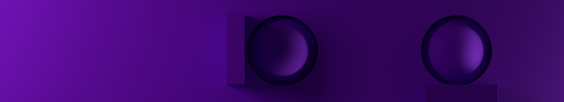 Precisely cover image