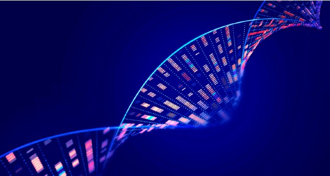 The potential benefits of AI for healthcare in Canada preview