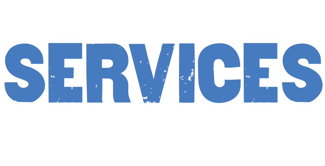 The Services Company - IT Solution Provider Partner