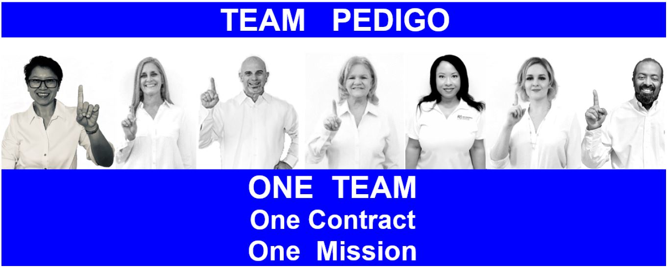 Pedigo Staffing Services, LLC cover image