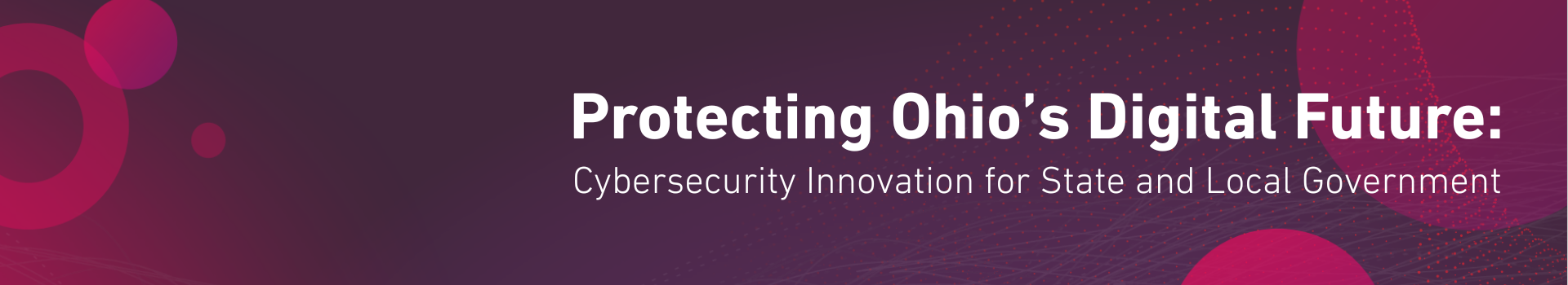 Check Point Software cover image