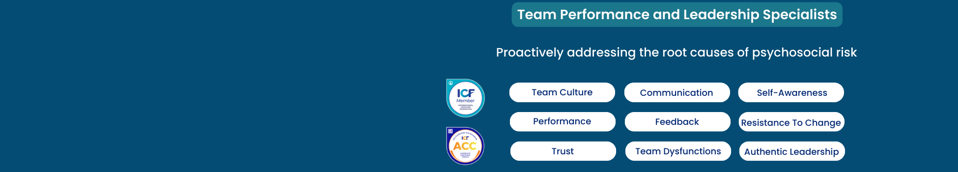 Professional Coaching Solutions cover image