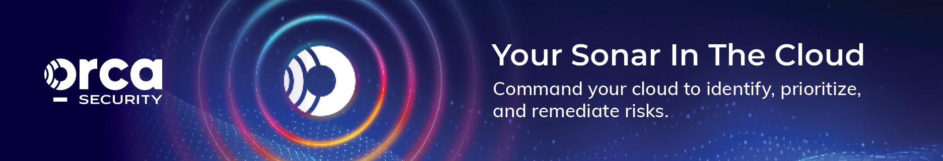 Orca Security cover image