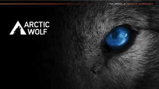 Arctic Wolf® Company Overview