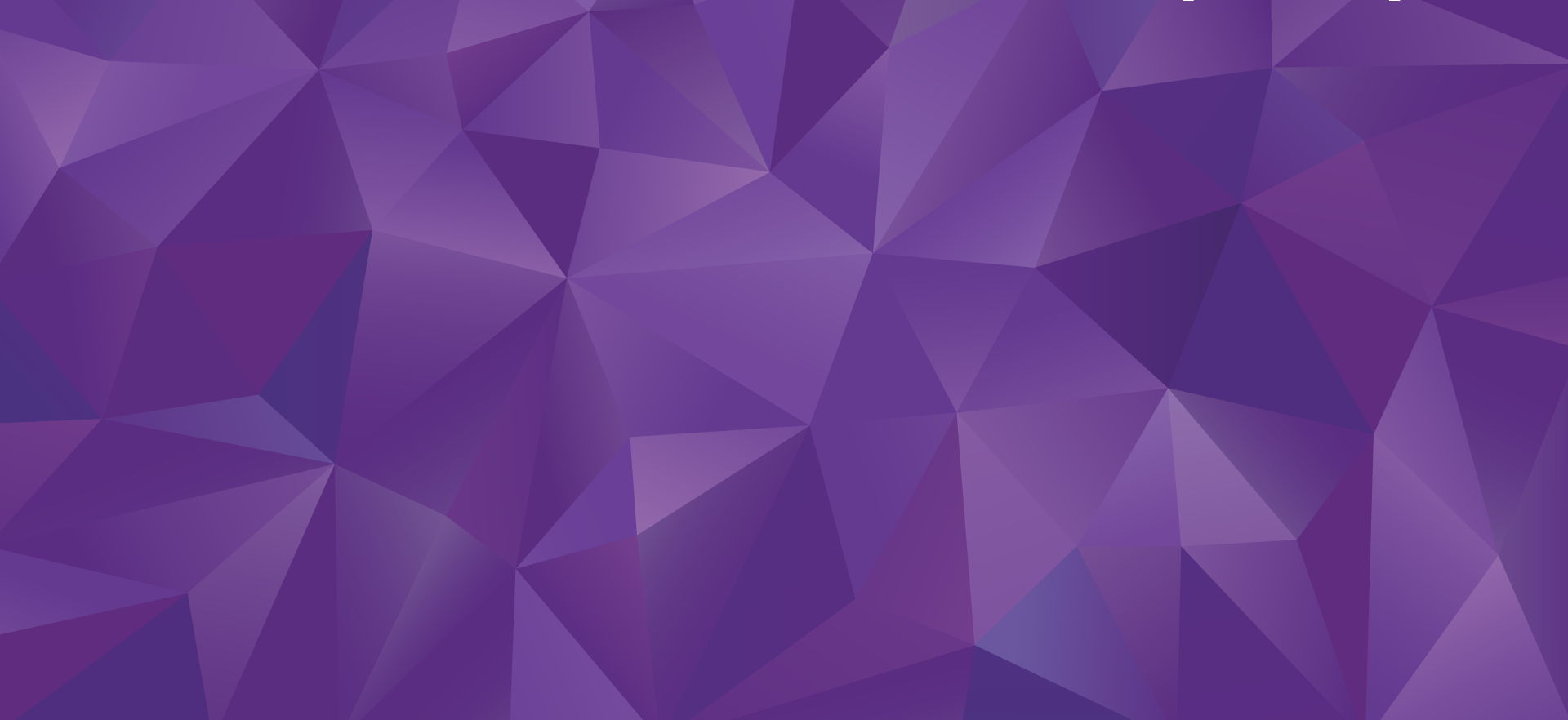 Synopsys cover image