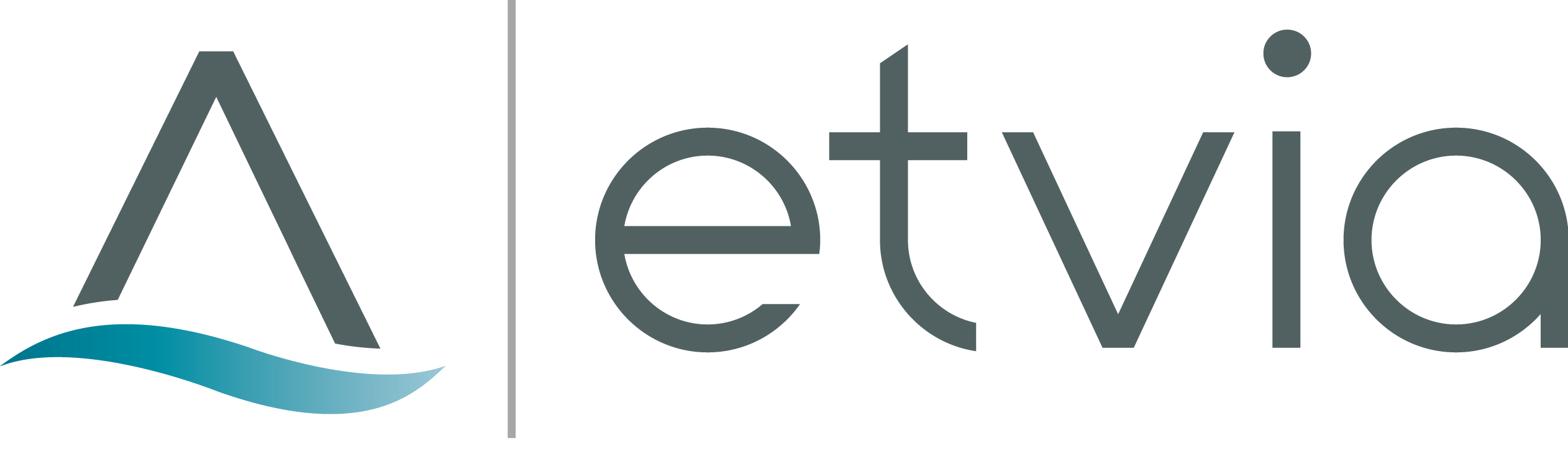 Etvia Corporation