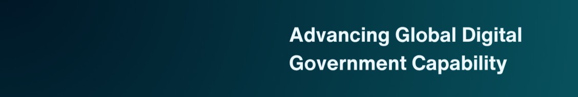Future Government Institute cover image