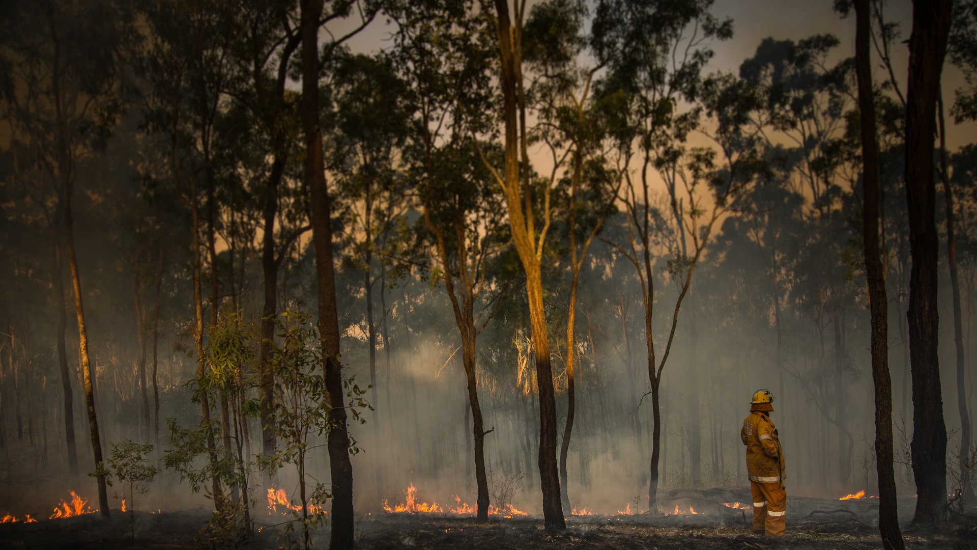 The impact of climate change on emergency management responses