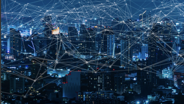 Experience Management in Government: Instilling Trust Through Transparency in Public Services