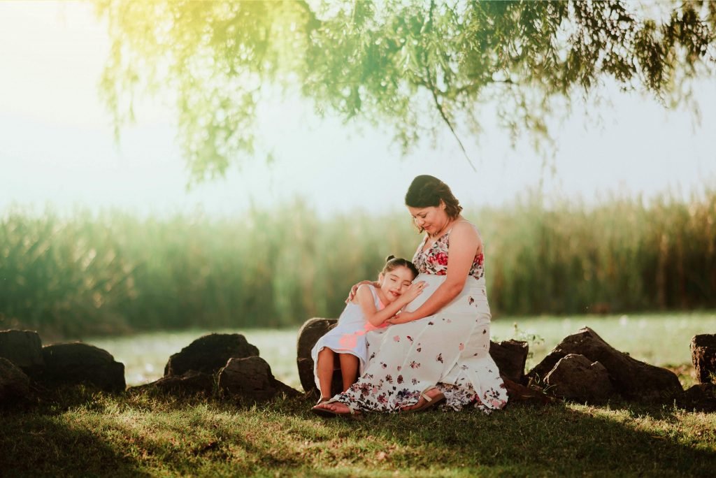 ebook: Child Support Enforcement Systems: How to Improve Program Performance