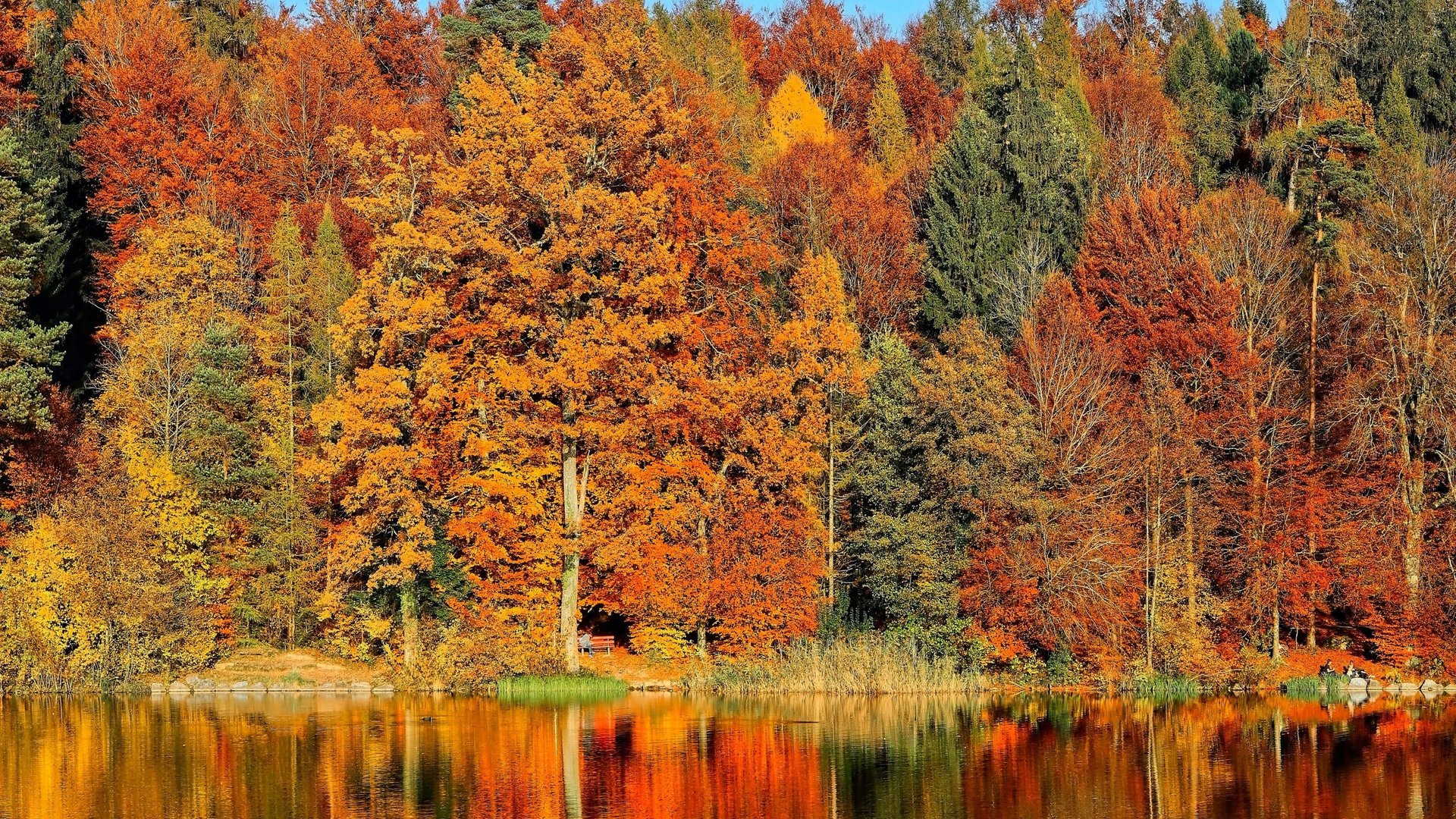 Speaker Spotlight Q&A: Wendy Geller, PhD - Division Director, Data Management & Analysis, Vermont Agency of Education