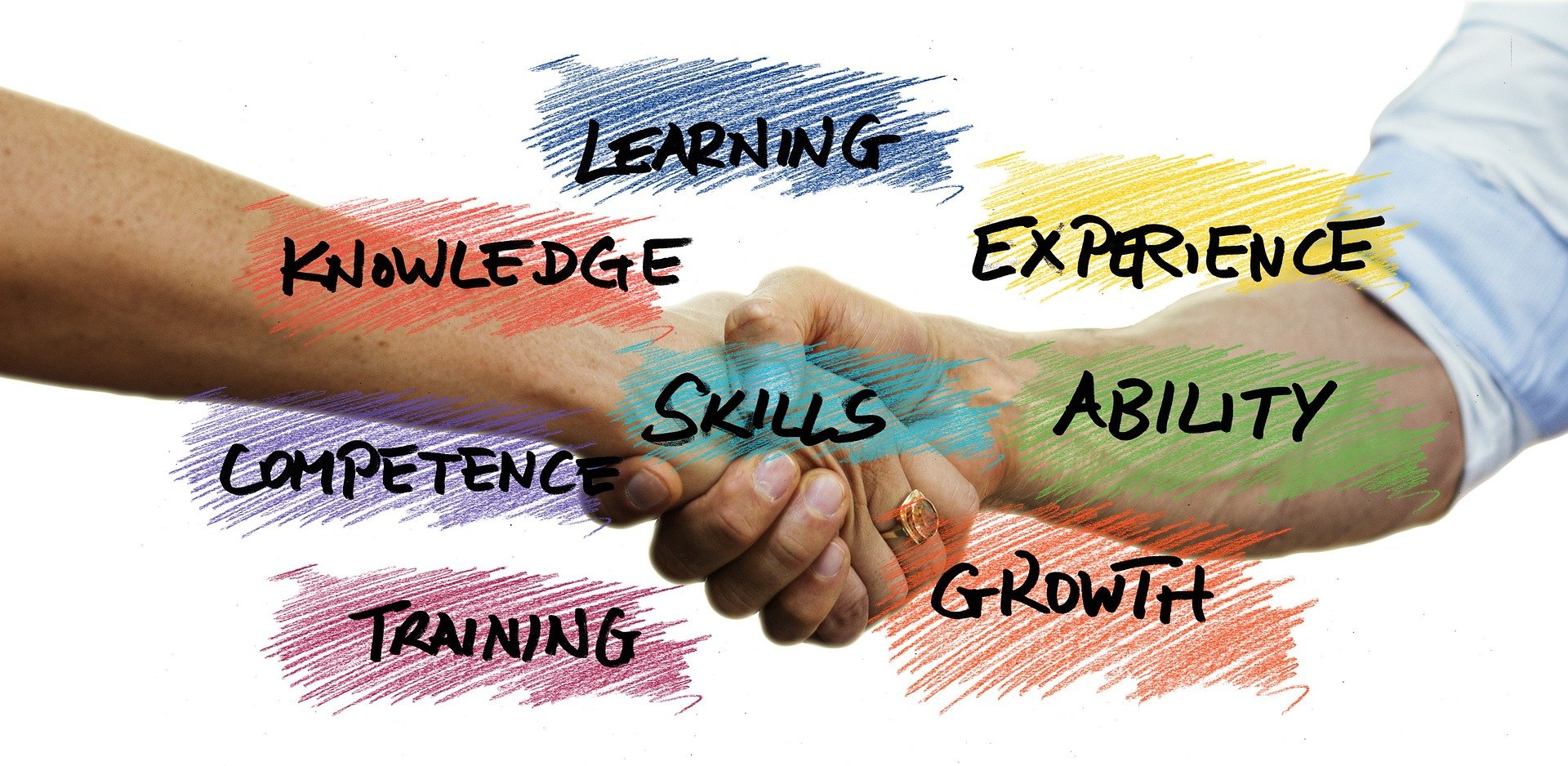 The Academy: Your Partner in Public Sector Training