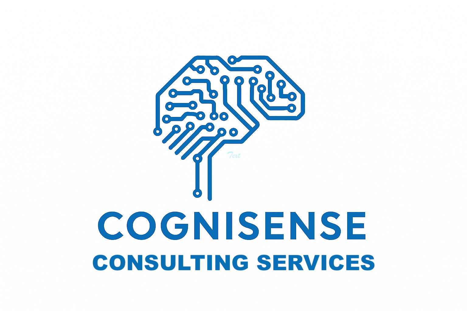 Cognisense Consulting Services