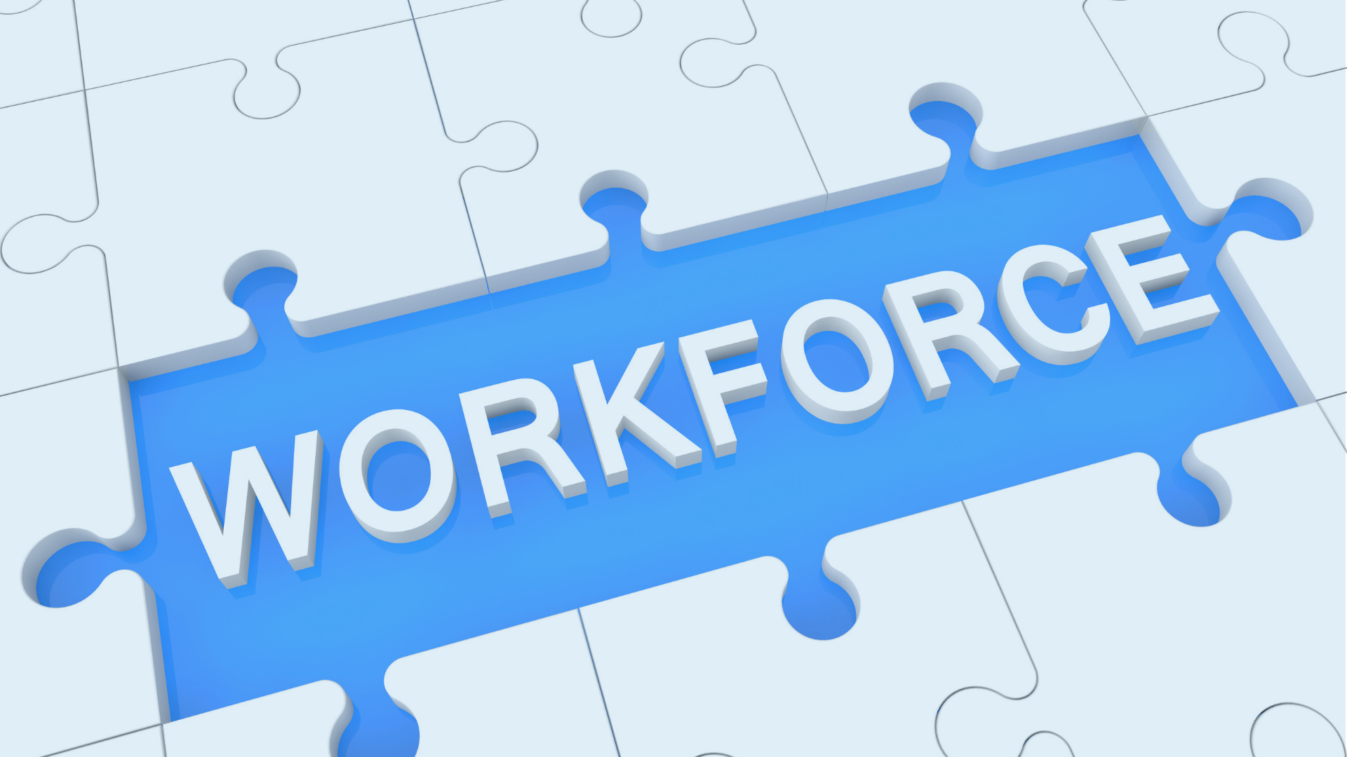 Government 3.0: Build the Workforce. Make Transformation Stick