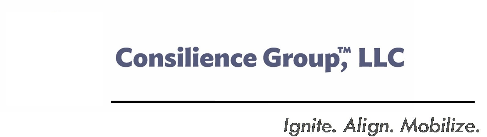 Consilience Group cover image