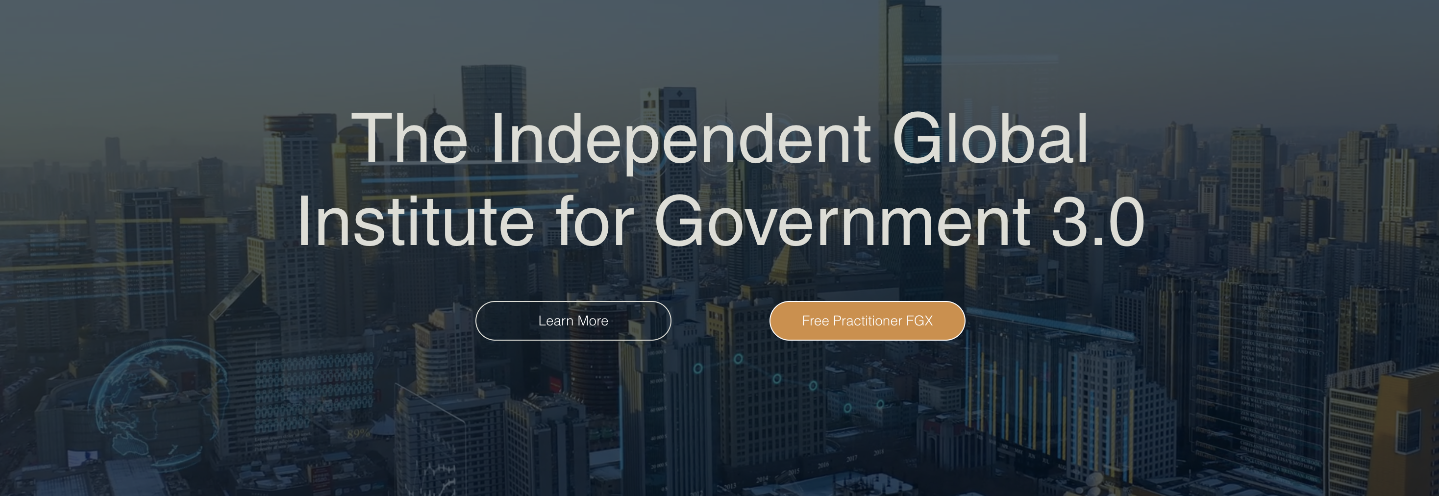 Future Government Institute (FGI) cover image