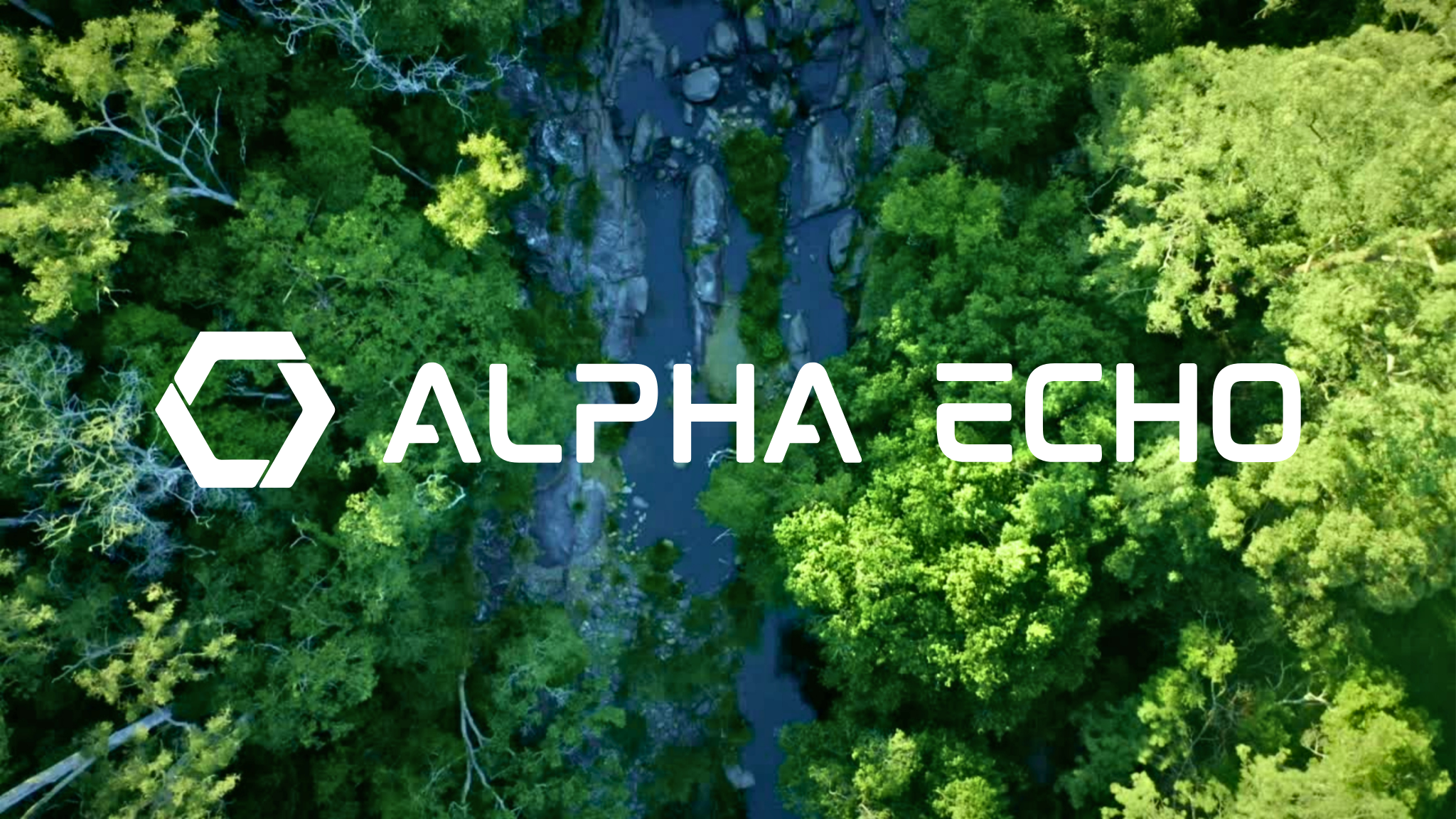 Alpha Echo cover image