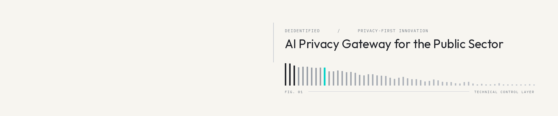 Propelled Solutions - Deidentified cover image