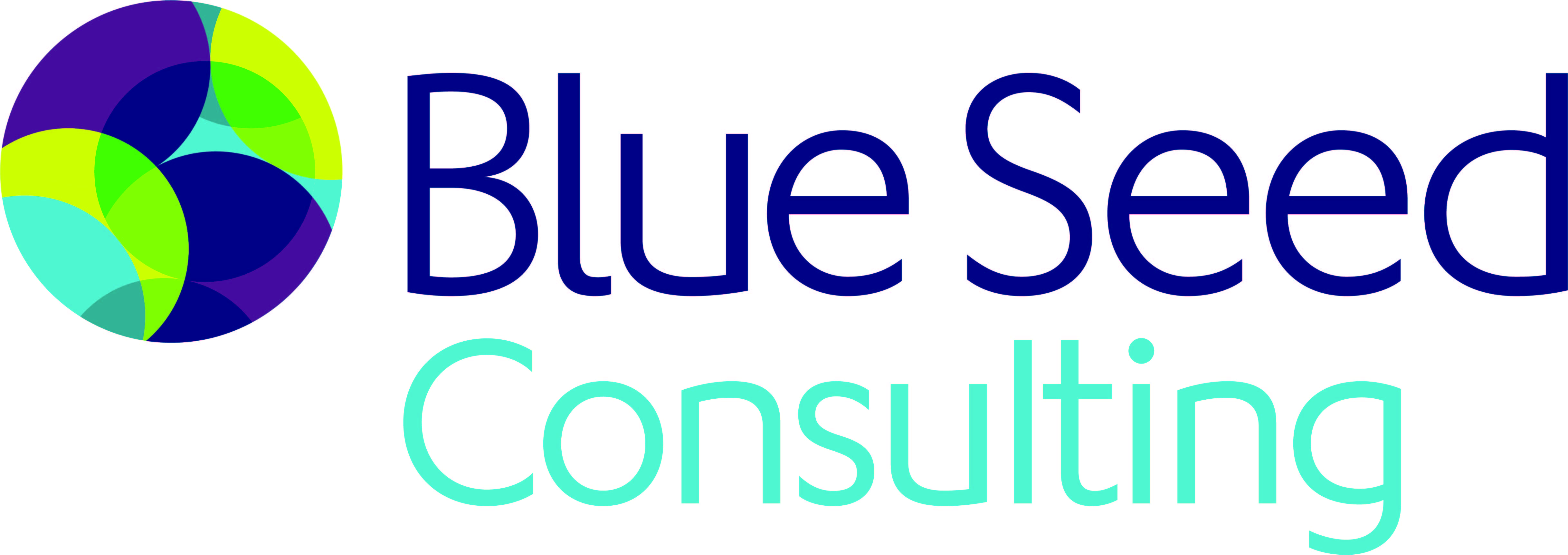 Blue Seed Consulting