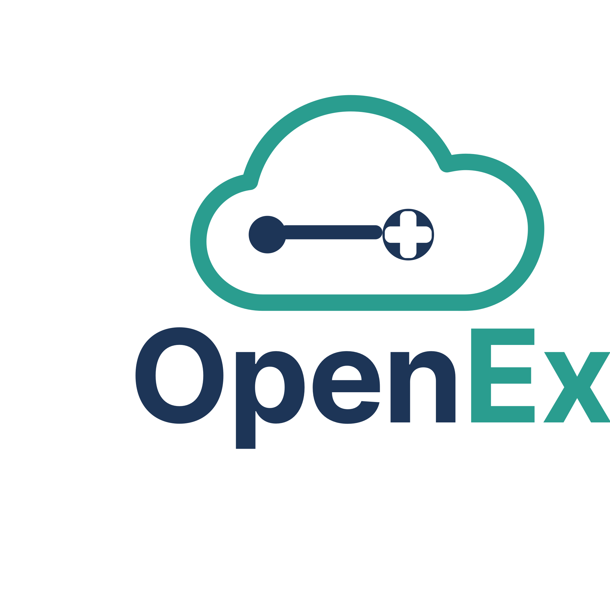 OpenEx Inc.