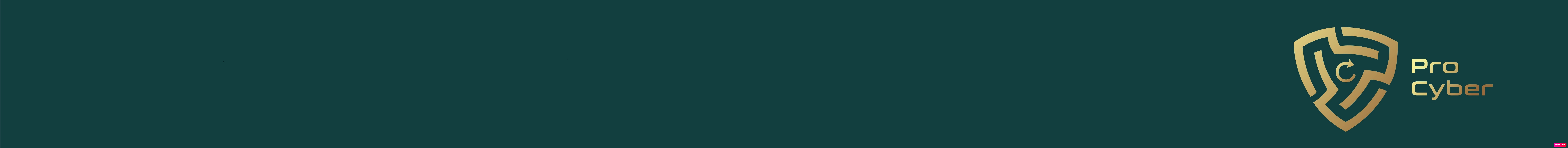 Procyber Pty Ltd cover image