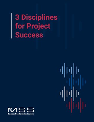 3 Disciplines for Project Success