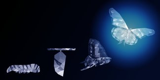 Digital Transformation 2.0 An evolutionary approach to future proofing your organization