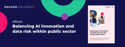 Balancing AI innovation and data security risk within public sector