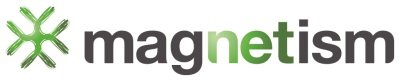 Magnetism Solutions logo